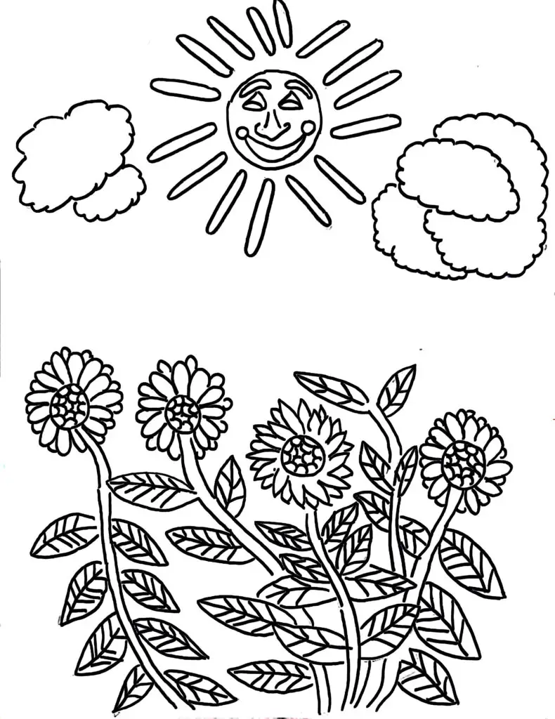 On this page of flower coloring pages, there is a sunflower.