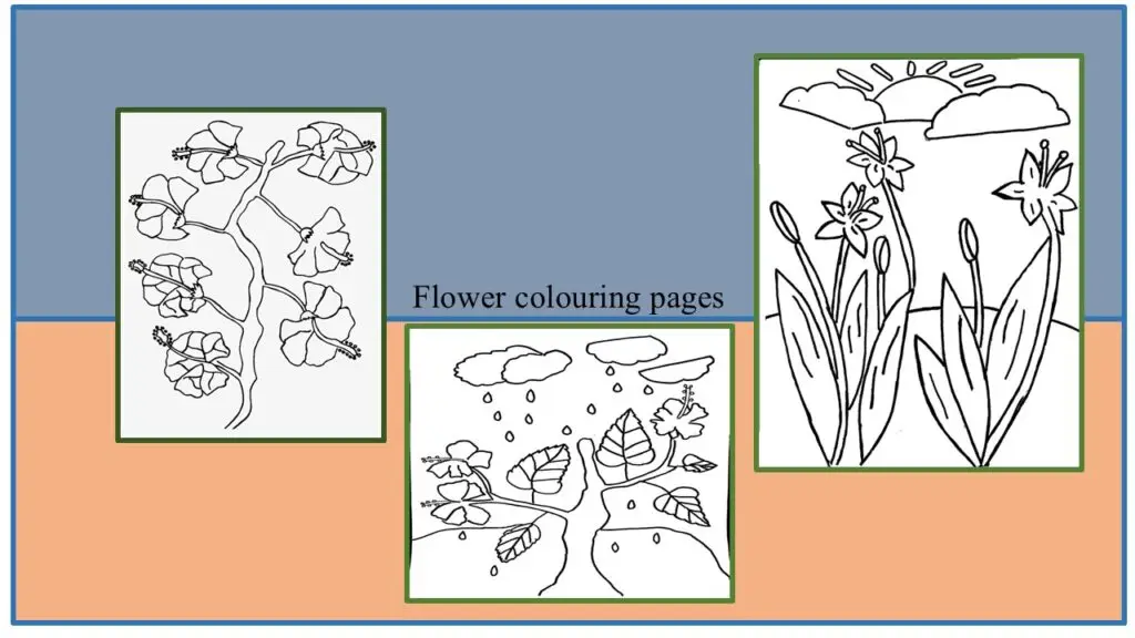 In this post, there are flower colouring pages.