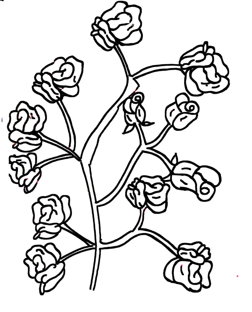 On this page of flower colouring pages, nine fully bloomed roses and three delicate rosebuds, all attached to elegant, intertwining stems. Each rose showcases intricate petal details, offering a delightful challenge for coloring enthusiasts. The three buds, gently nestled among the blooms, add a touch of natural beauty and promise of growth.