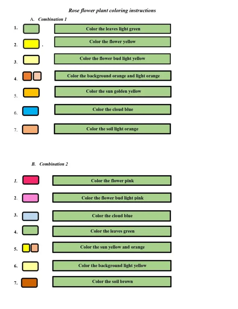 On this page, there are coloring instructions for the rose flower plant.