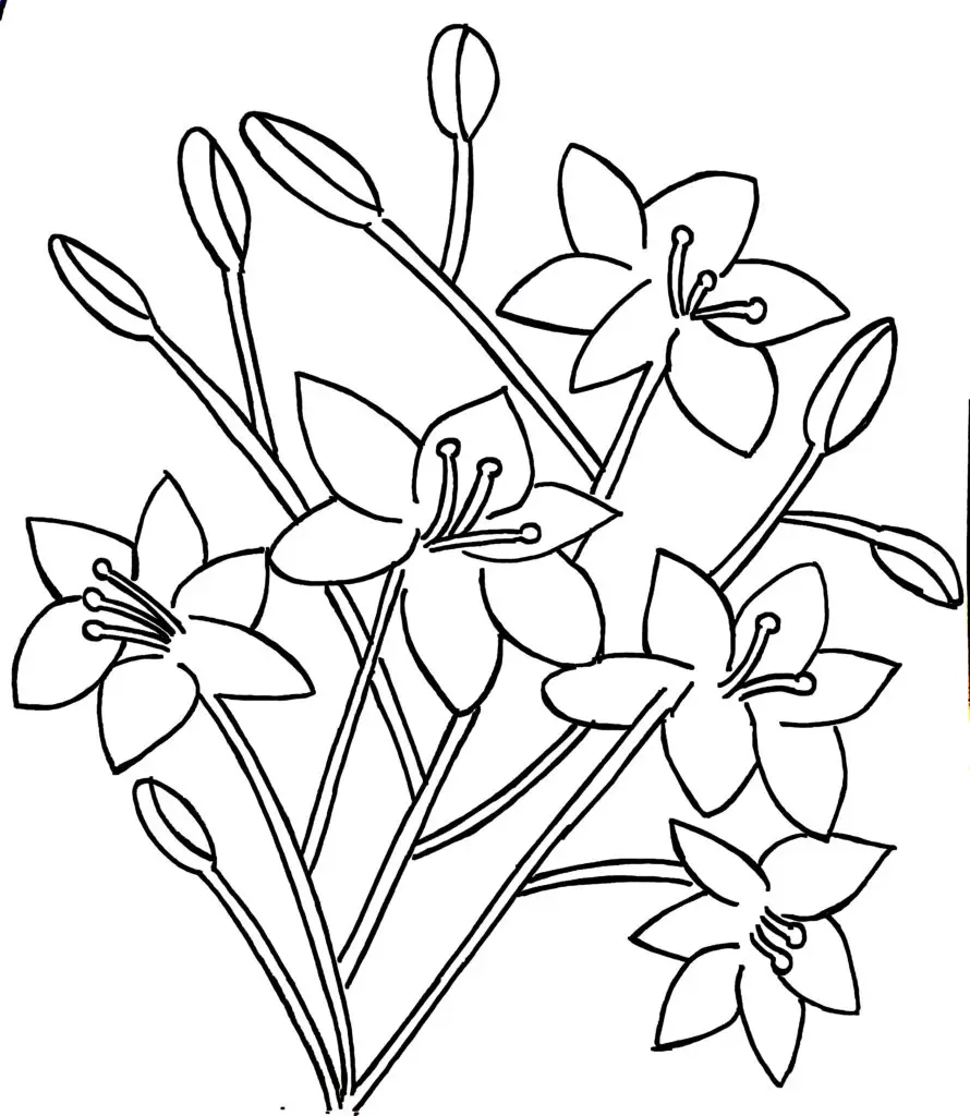 On this page of flower colouring pages, five big lily flowers and seven small lily buds. Each flower has broad petals and long stems. The buds are closed and waiting to bloom.