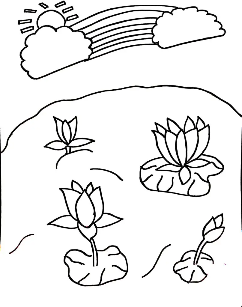 On this page of flower colouring pages, four elegant lotus flowers are blooming peacefully in a serene pond. Above the tranquil water, a bright sun shines in the sky, bringing warmth and light to the scene. Two fluffy clouds float gently nearby, and a cheerful rainbow arches gracefully across the sky, adding a magical touch.