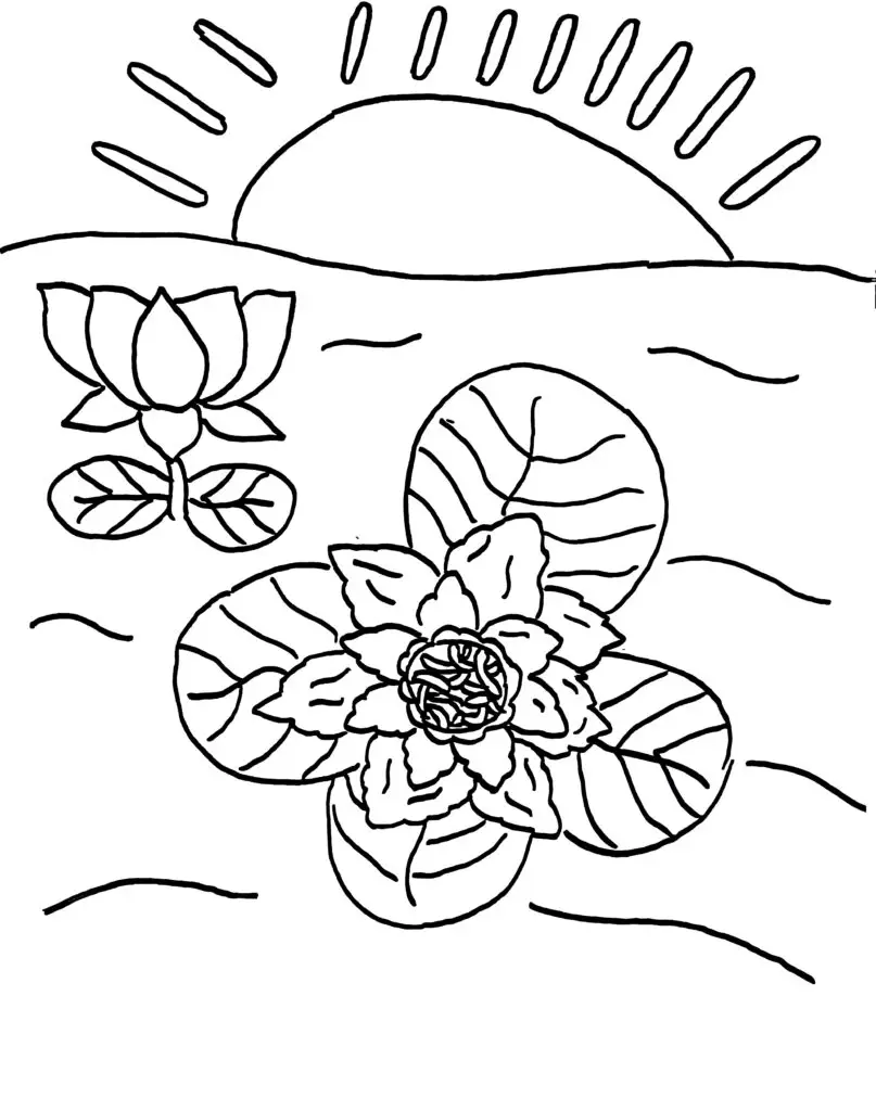On this page of flower colouring pages, there are lotus flowers in a pond.