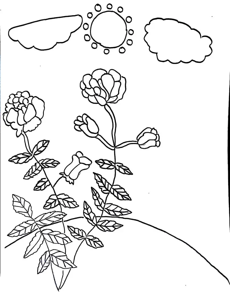 On this page of flower colouring pages, there are rose flowers in the garden.