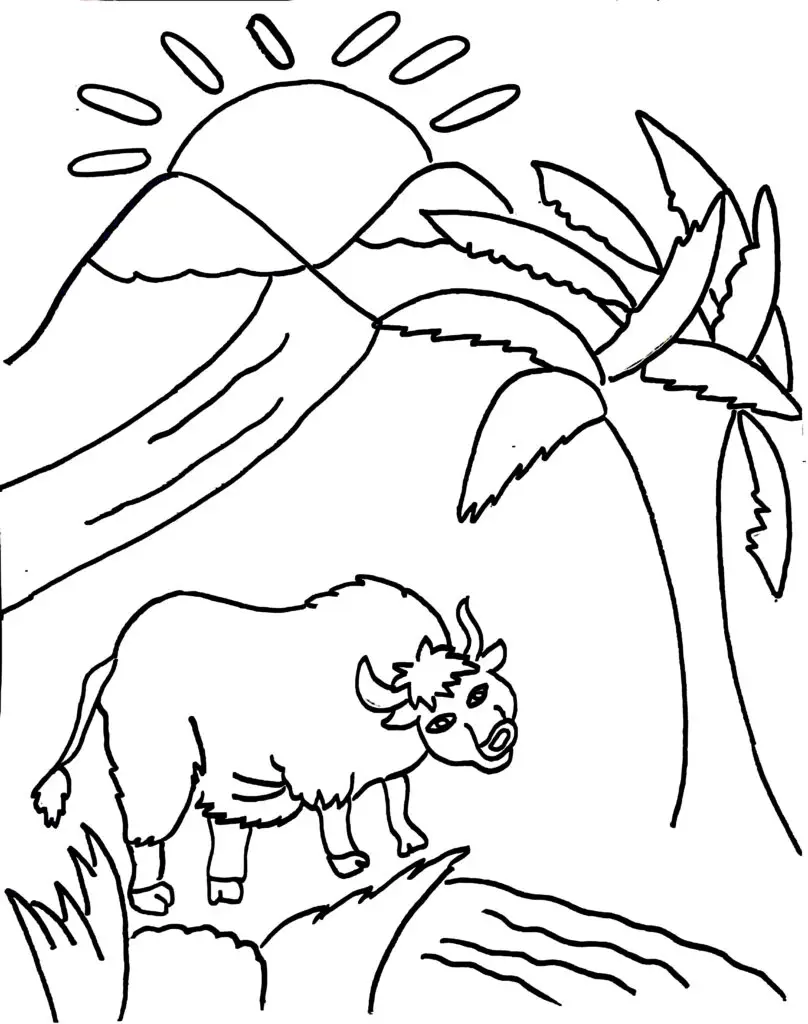On this page of animal colouring pages, there is a yak in search of water.