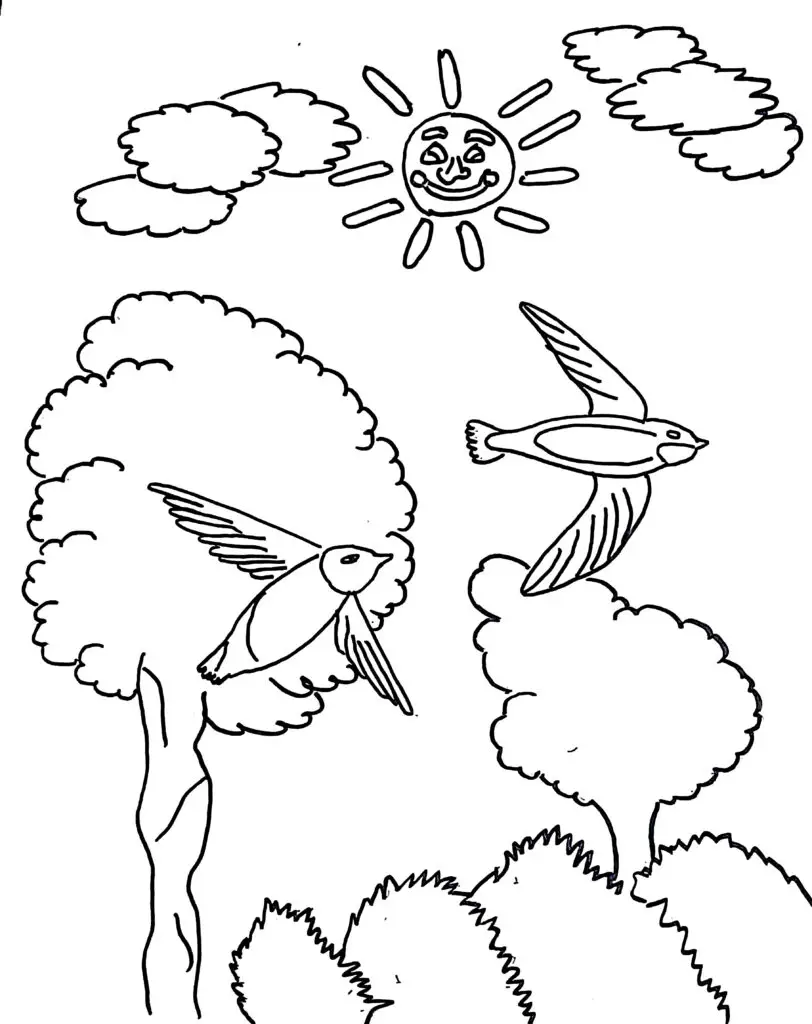 On this page of bird coloring pages, there is the white-throated needletail bird.