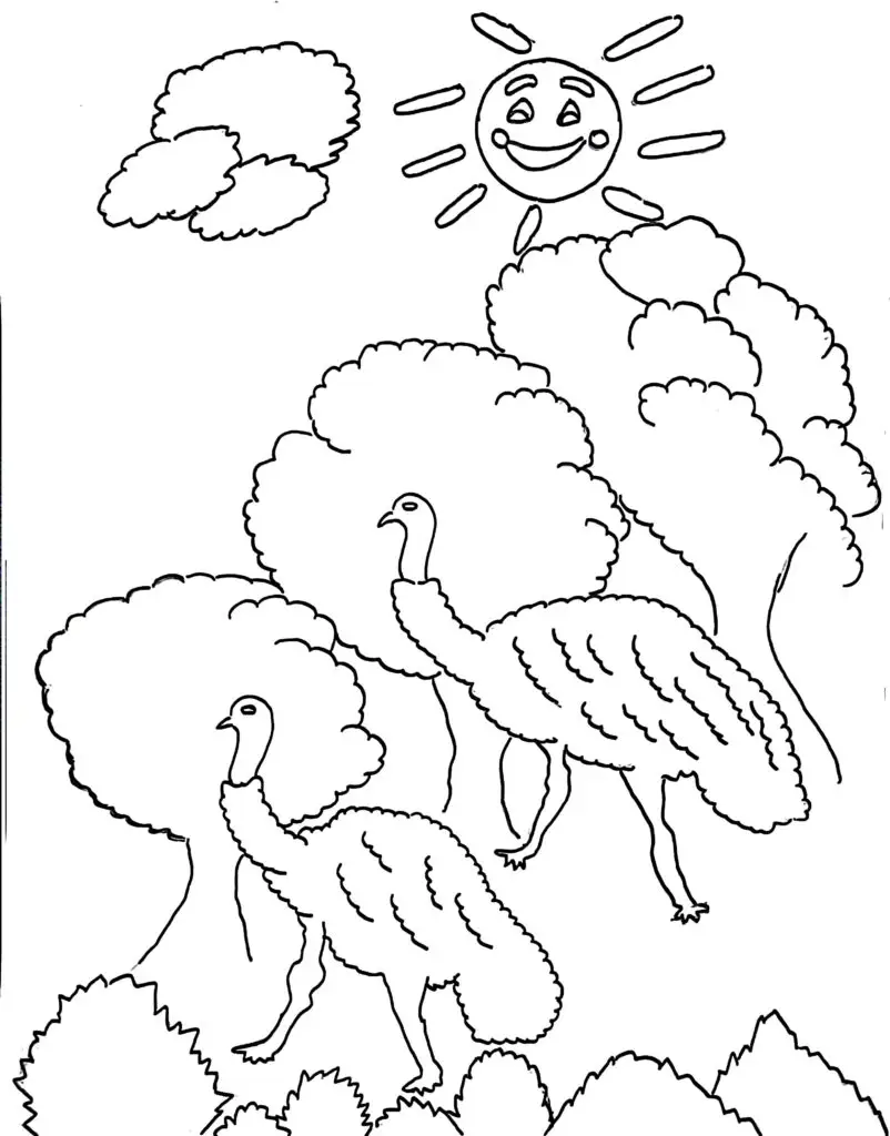 On this page of birds coloring pages, there are two emu birds.