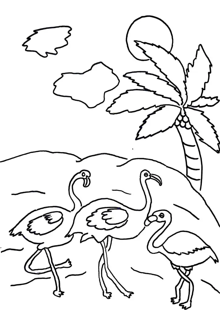 On this page of birds coloring pages, there are flamingo birds in shallow waters.