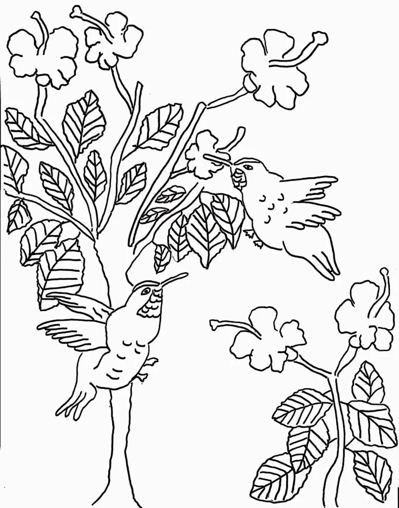 On this page of birds coloring pages, there are two hummingbirds.