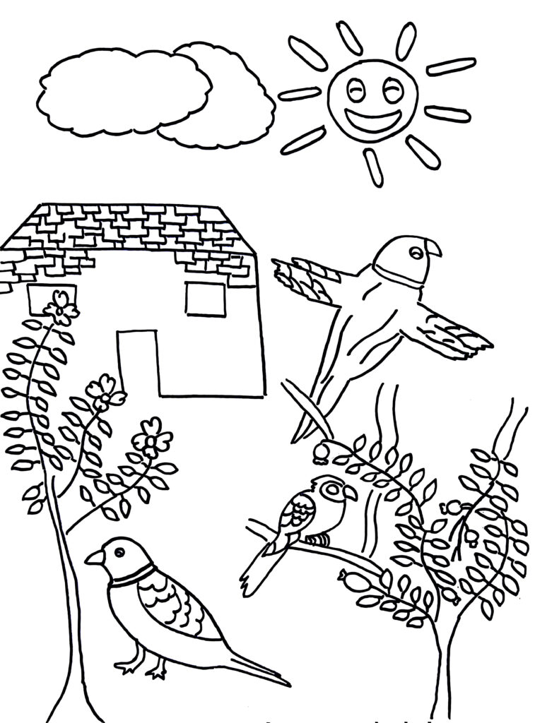 On this page of birds coloring pages, there are parrots near guava tree.