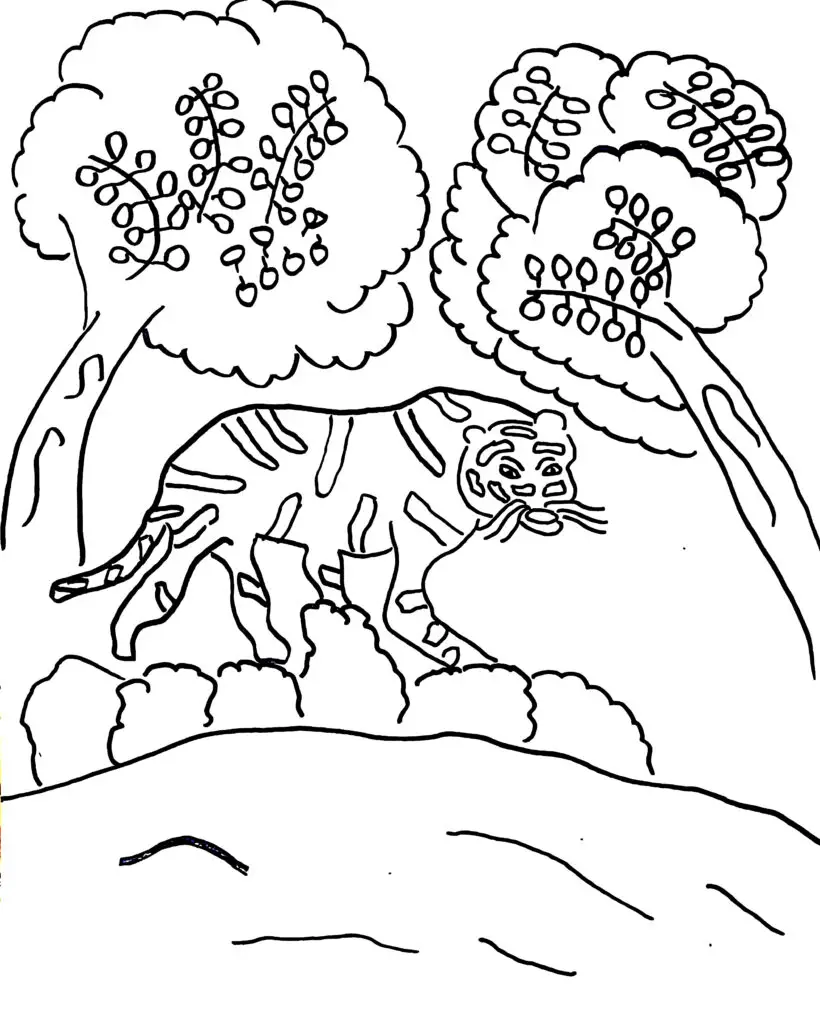 On this page of nature coloring pages, there is a tiger near the water resource.