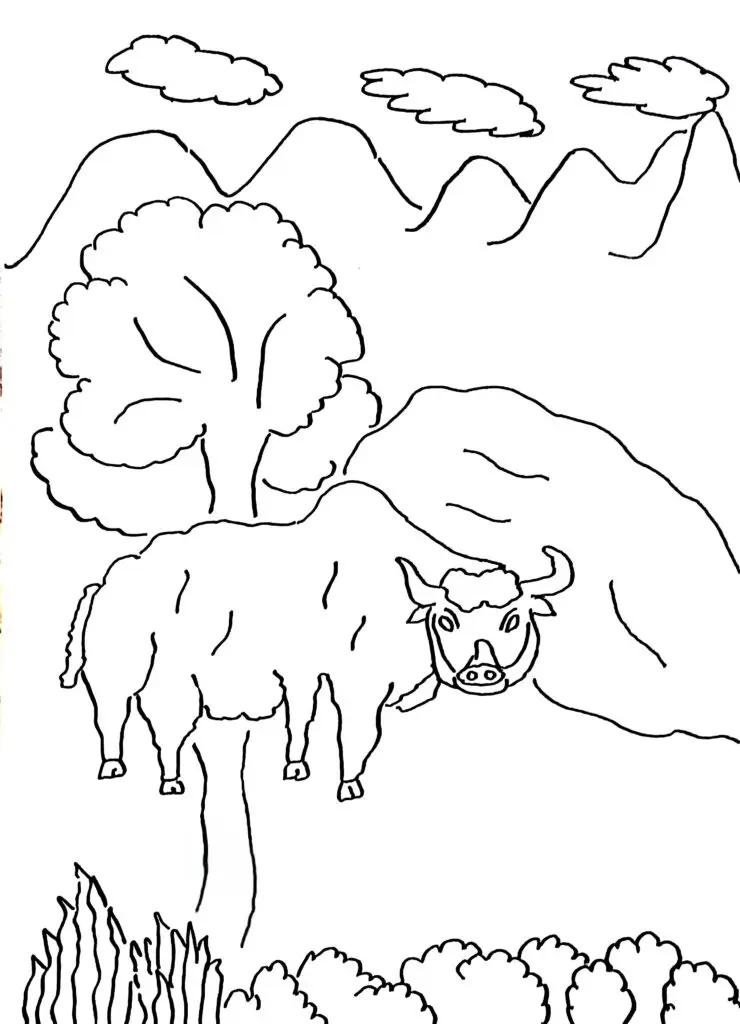 On this page of free printable coloring pages, there is a yak.