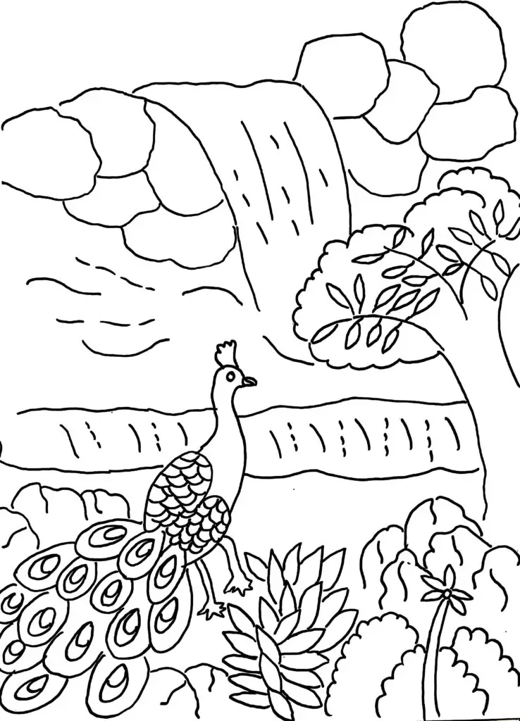 On this coloring page, there is a peacock near a waterfall.